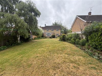 Picture 28